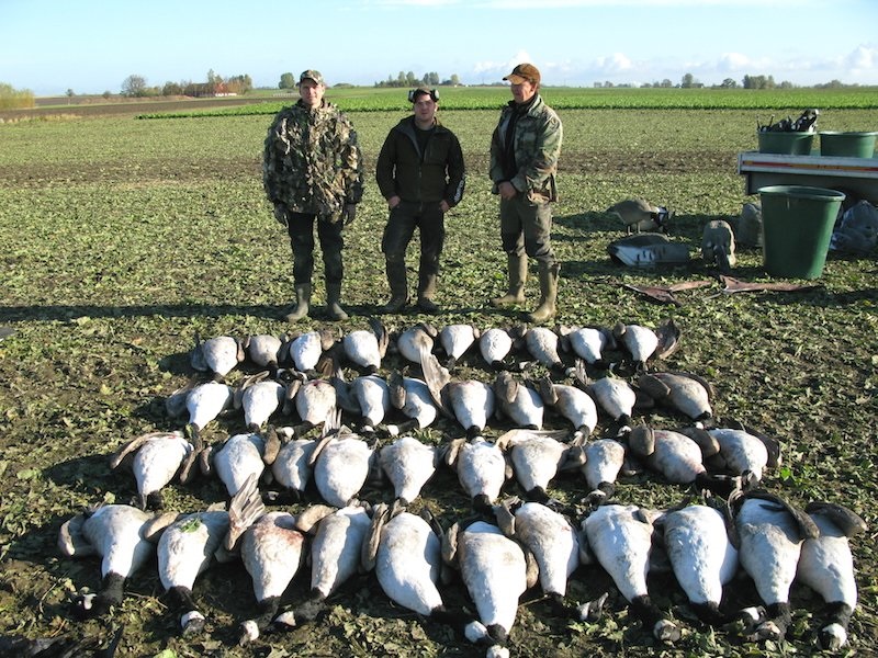 Have You Got The Most Effective Equipment For almost any Effective Waterfowl Hunting Trip?