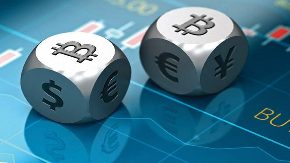 Can beginners win at bitcoin dice on their first day?